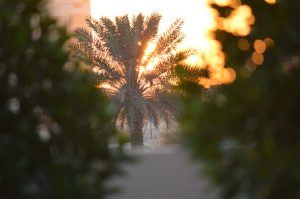 photographers in dubai, best dubai based photographers, 512 imaging, 5-12 iMagInG, #512iMagInG