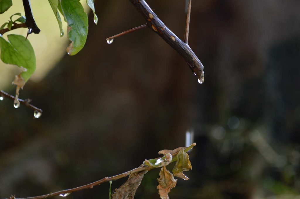 portrait, events, adventure, photography