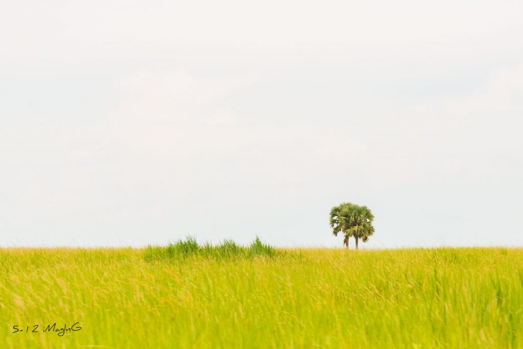 Portrait, Event, Adventure, Photography, 5-12 iMagInG, #512iMagInG, 512imaging, minimalist