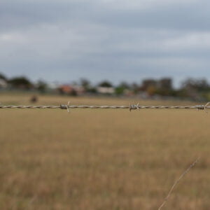 Barbed