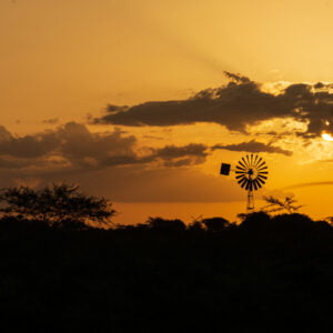 Windy Sunset