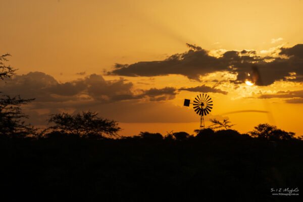 Windy Sunset