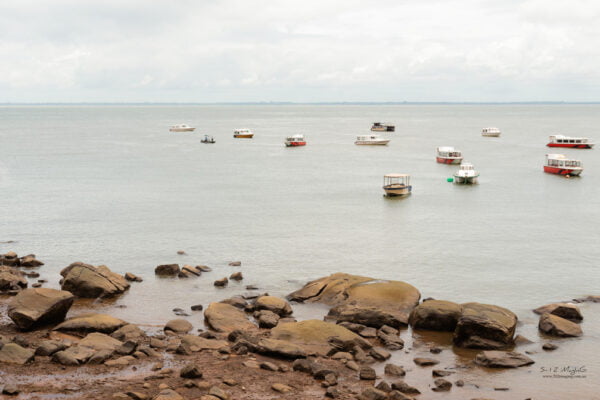 Floating Boats