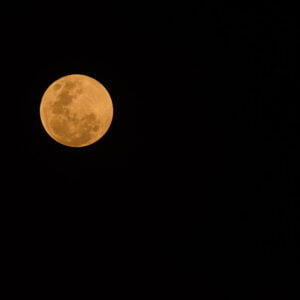 Blood Moon