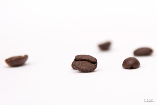 Coffee Seeds